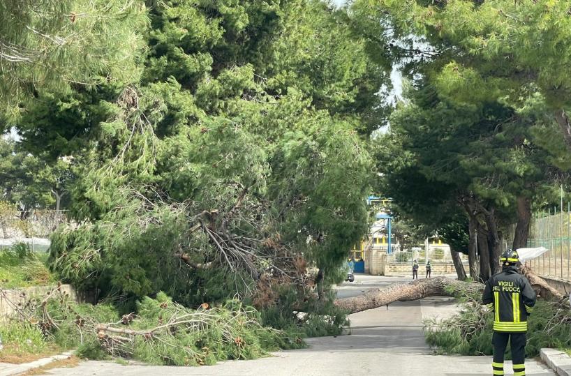 Bisceglie, dopo la morte di Alicia il sindaco chiude le scuole e i parchi cittadini 