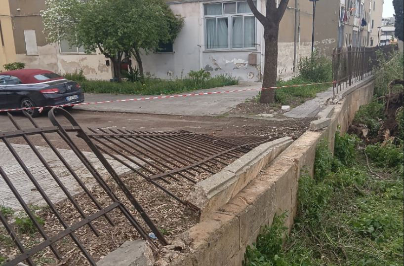 Lecce, un grande pino crolla e si abbatte sul cortile della scuola &laquo;Livio Tempesta&raquo; di via Ofanto 