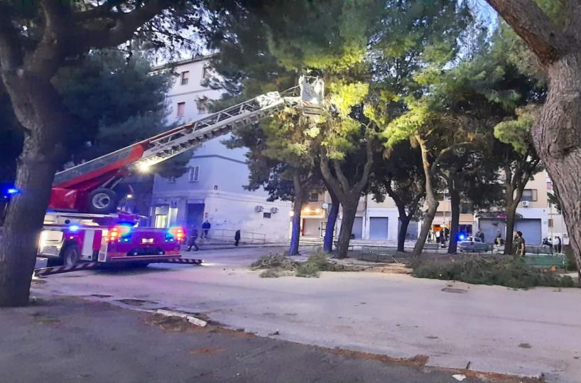 Foggia, grosso ramo cade in P.zza Giovanni XXIII: strada bloccata e intervento dei Vigili del Fuoco