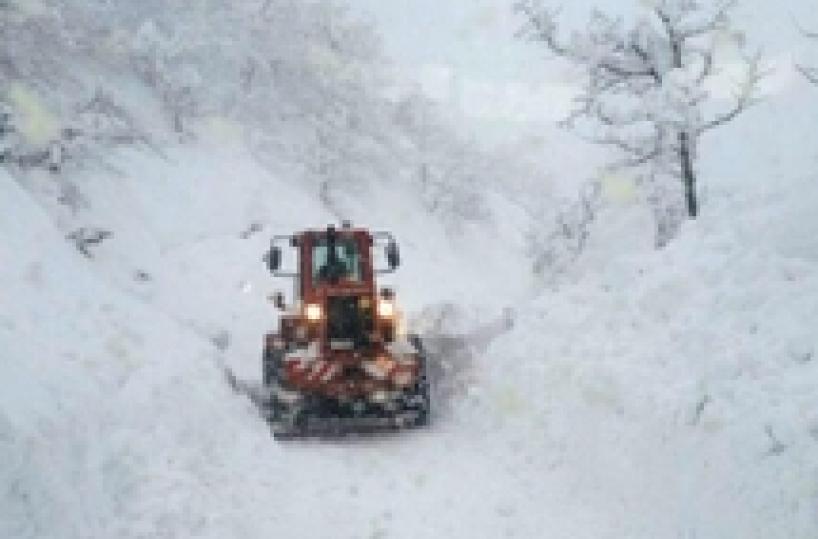 Red Cross issues quake guidelines