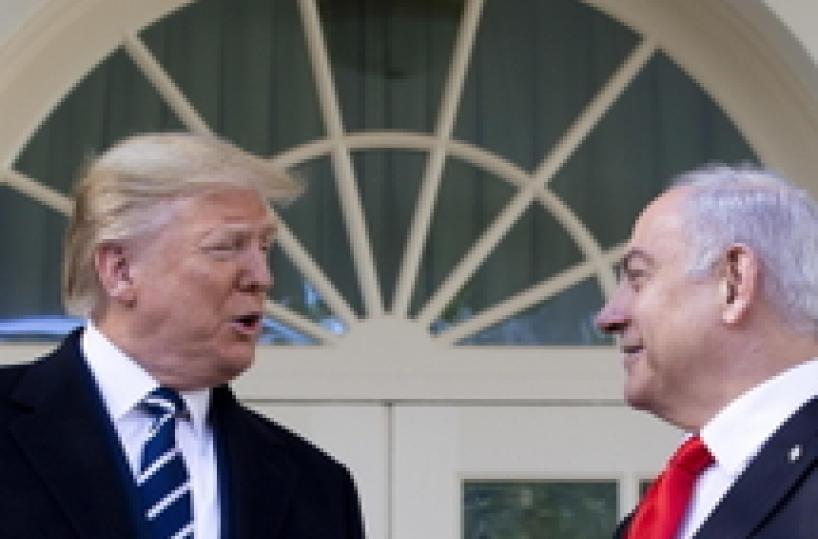 Trump, domani svelo piano di pace