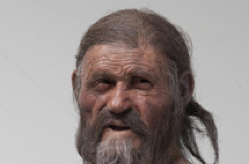 Oetzi the Iceman to go on North American tour (2)