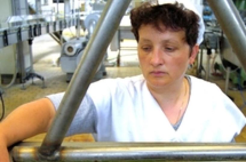 Industria, fatturato aprile, -1%