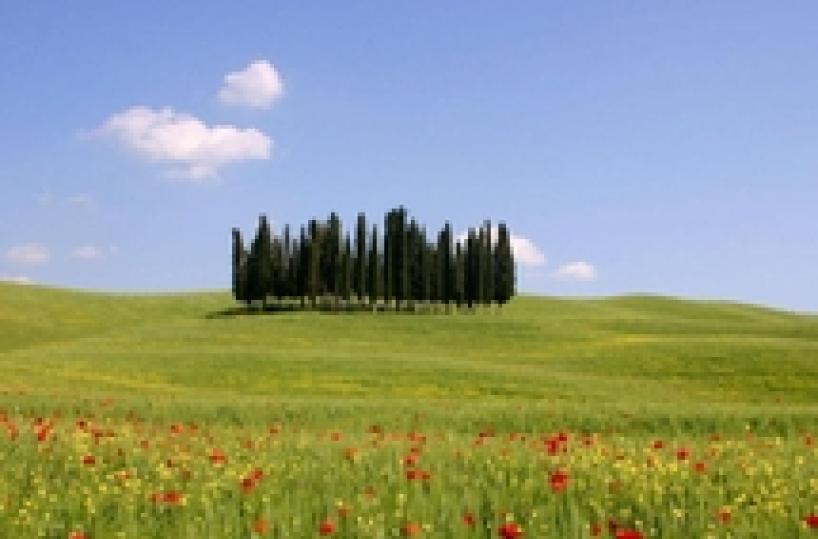 Giornata Paesaggio da Uffizi a Pompei