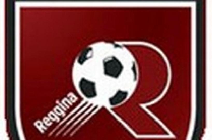 Neo-presidente Reggina, serie C insulto