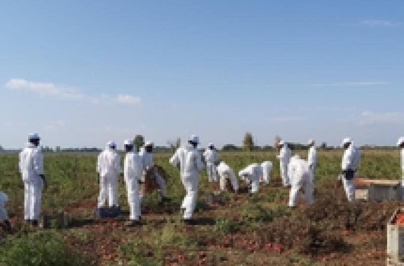 Caporalato:parte in Puglia filiera etica