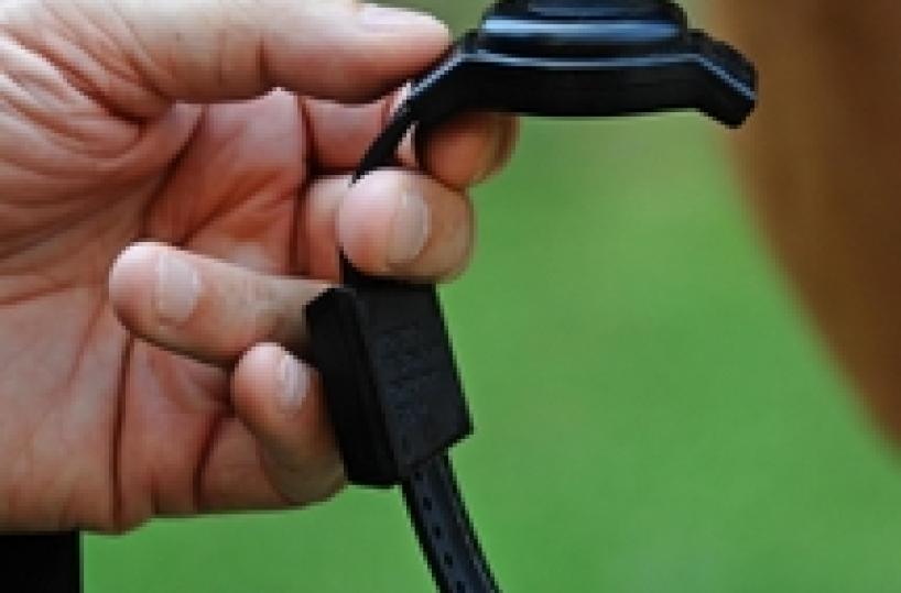 Canosa di Puglia, rompe il braccialetto elettronico e scappa: in carcere 46enne 
