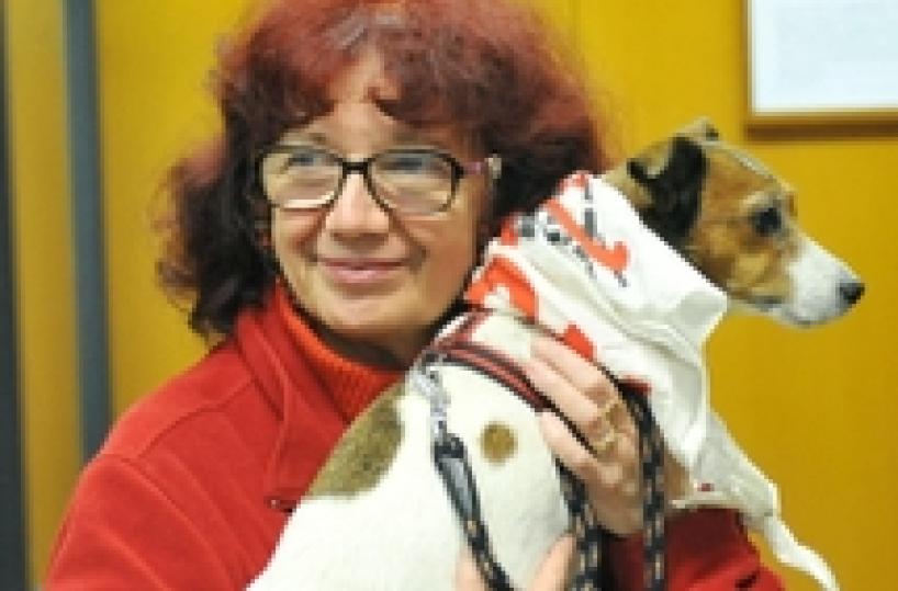 Pg sospende carcere pasionaria No Tav