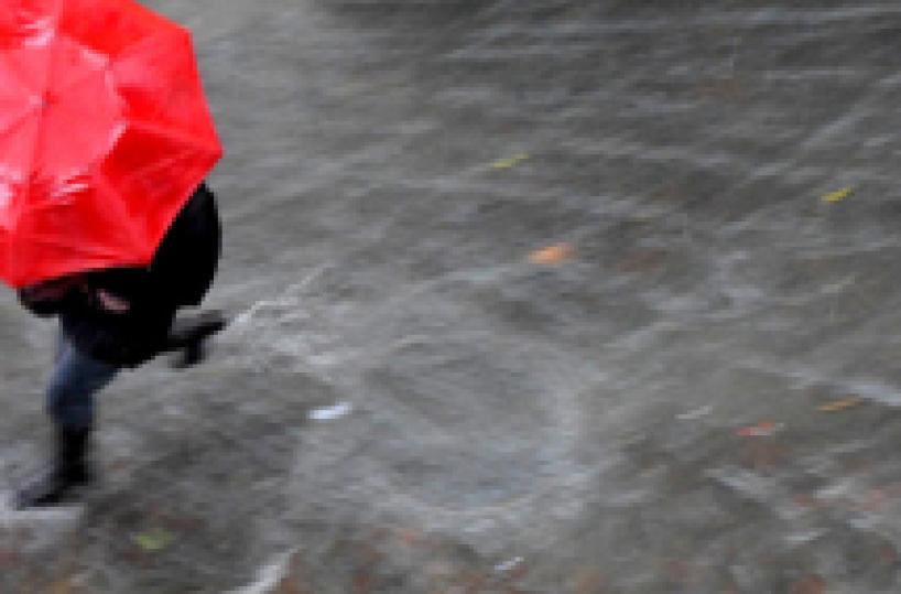 Maltempo, chiuse scuole e parchi Livorno