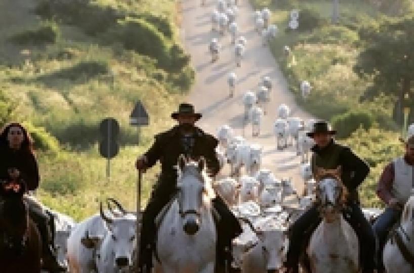 Transhumance wins UNESCO status