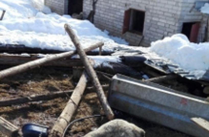 Sisma: Coldiretti, 10mila animali morti