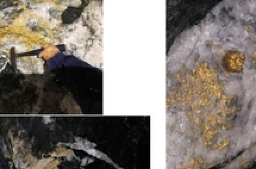 Australia: è nuova corsa all'oro