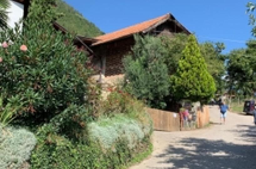 Neonato trovato morto, madre in carcere