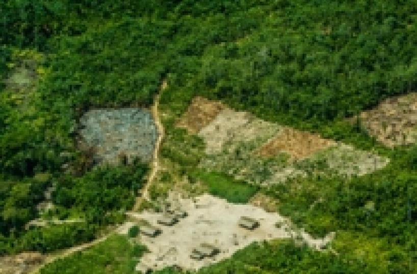 Indios shd have voice at synod on Amazonia - cardinal