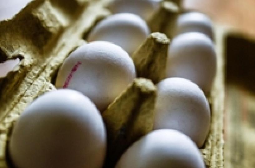 Bari, ruba uova da utilizzare ad Halloween: 16enne denunciato dalla Polizia