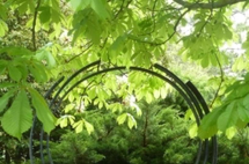 Percorso arte in Chianti con Decoster