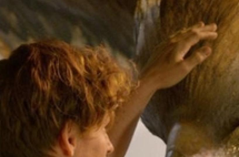 Febbre Potter, arriva Animali Fantastici