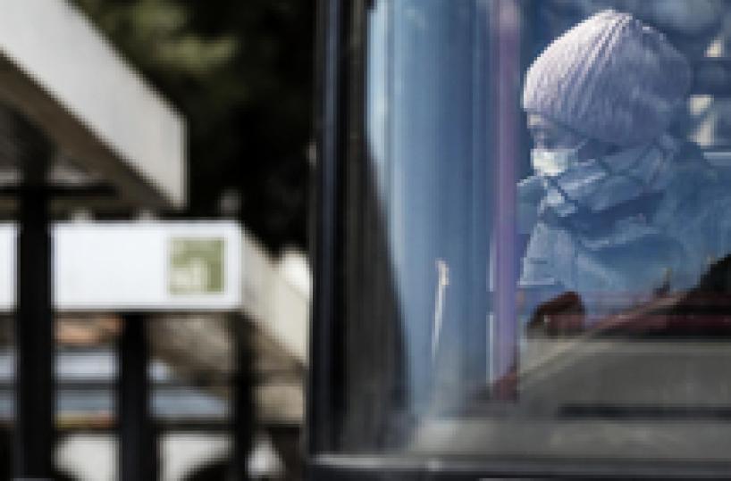 Antitrust: stop mascherine su sito Tiger