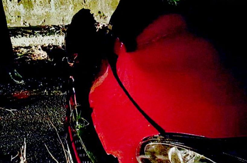 Grosso ramo si abbatte sull'auto restano illesi due turisti olandesi