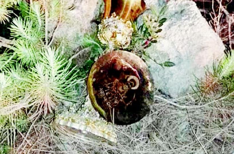 Rubano il calice dal santuario Coppia finisce ai «domiciliari»