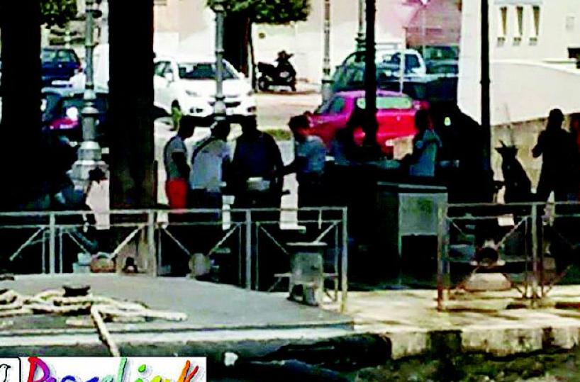  Allevamenti abusivi di cozze, altro esposto