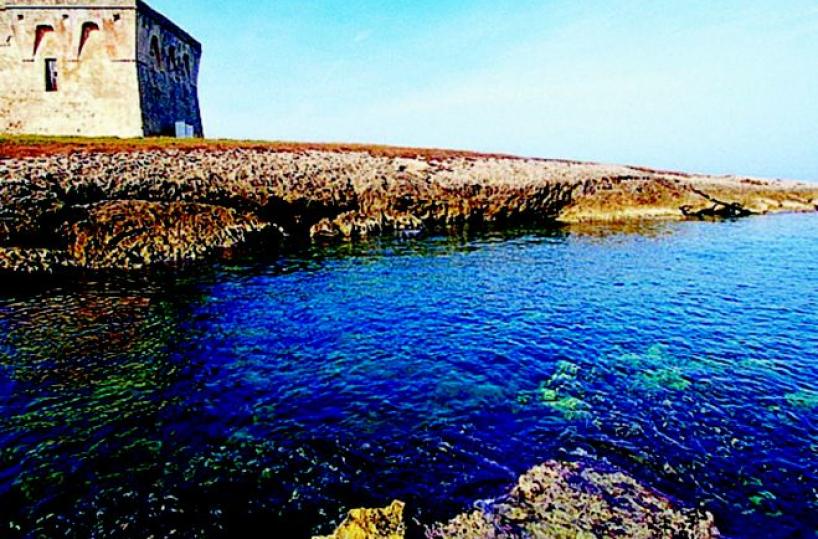 «Salvare il Canale Reale significa salvare anche Torre Guaceto»