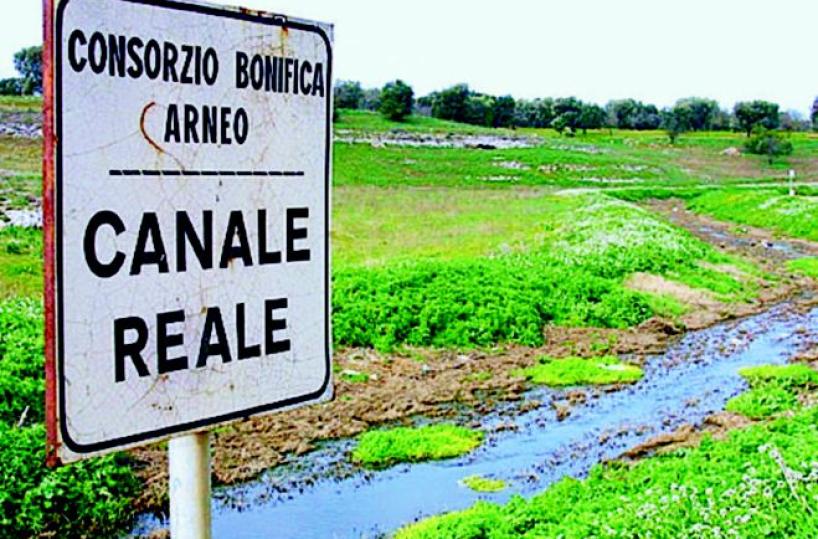 Una strategia comune per salvare il Canale Reale
