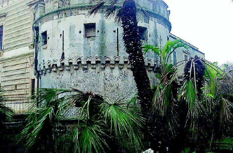 Farfalla mangia-palme «avvistata» nel Salento