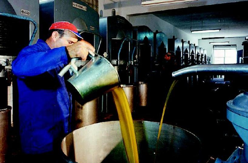 Per colpa della siccità crolla la produzione di olio in Puglia: -52%