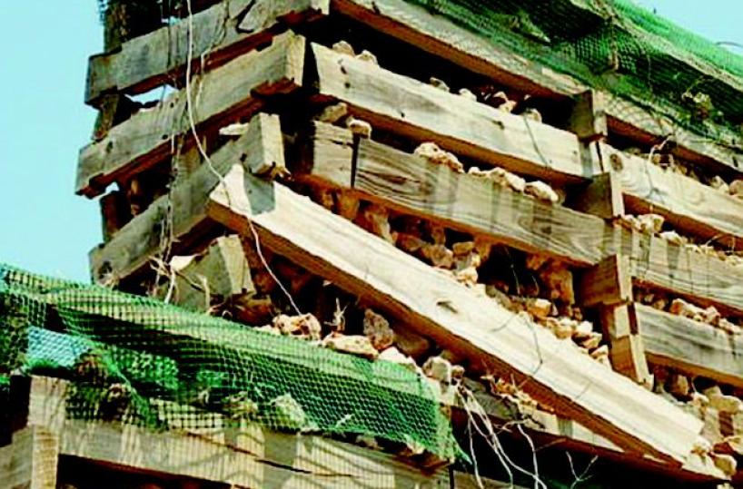 Sud-Est, anche l'ingegnere d'oro 54 milioni di parcelle in 10 anni