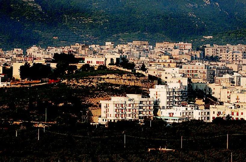 «La Xylella non è lontana rischio anche in Capitanata»