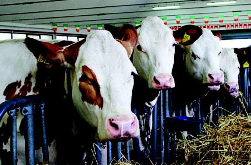 Apre la fiera dell’Agricoltura via coi sindaci, poi Emiliano