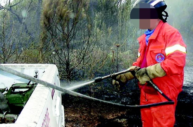 Lo scandalo Arif  550 interinali inutili