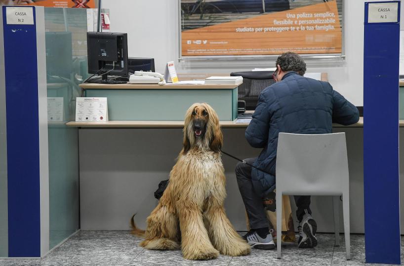 Crif, più italiani accedono al credito ma per importi minori