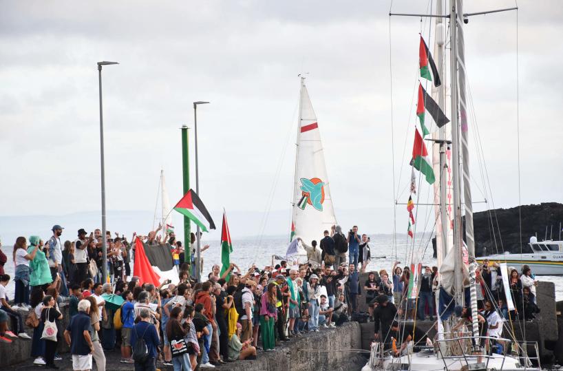 Da Alpino primo alert alla Flotilla a 180 miglia da Gaza