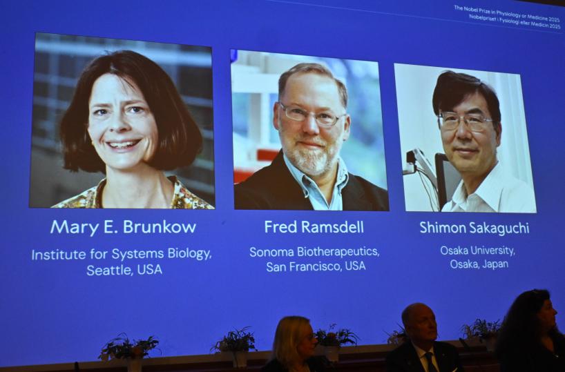 Nobel Medicina a Brunkow, Ramsdell e Sakaguchi