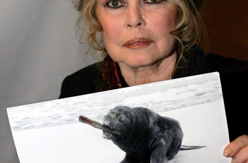 Brigitte Bardot dimessa dalla clinica dopo intervento chirurgico