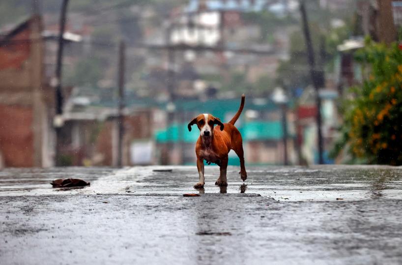 Oltre 20 morti ad Haiti per l'uragano Melissa