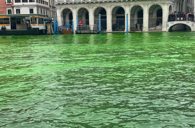 Il Canal Grande di Venezia si colora nuovamente di verde