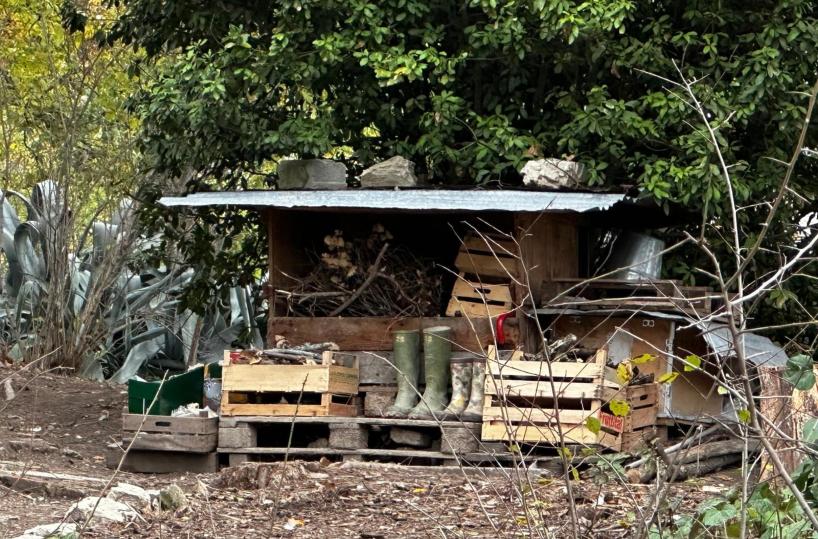 Famiglia bosco, genitori convocati giovedì in Tribunale