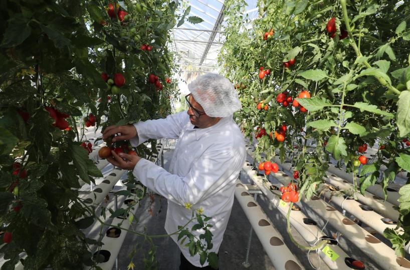 Wef, l'economia green varrà 7.000 miliardi di dollari nel 2030