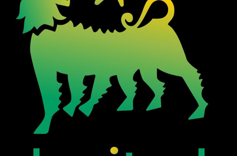 L'Antitrust avvia un'istruttoria sull'acquisto di Acea Energia da parte di Plenitude