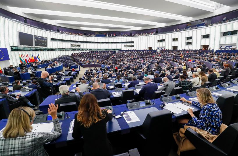 Via libera dall'Eurocamera alla semplificazione della due diligence