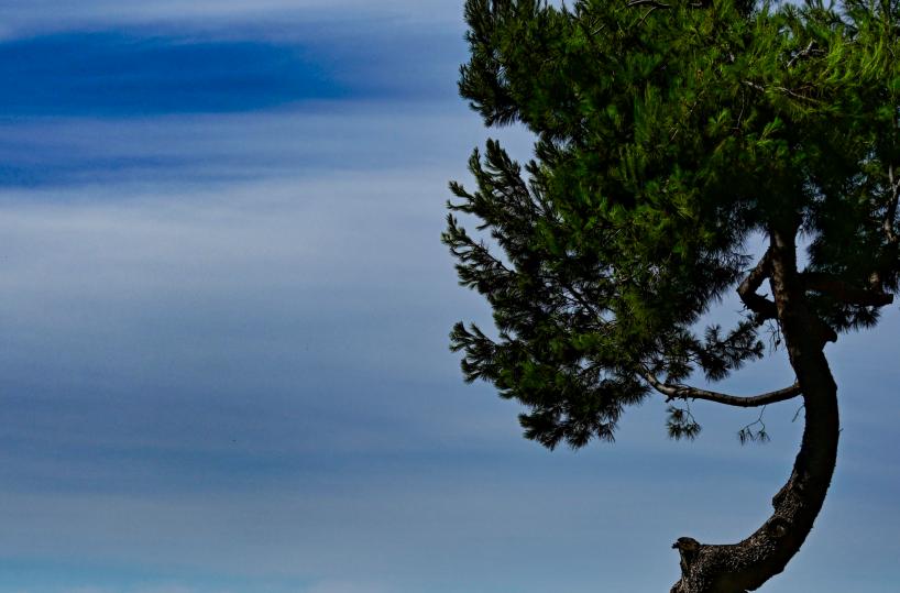 Inps, a dicembre spesa per l'Adi a Napoli supera quella dell'intero Nord