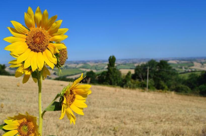 La coesione vira sul &lsquo;green&rsquo;, aumentano i fondi destinati alla sostenibilit&agrave;
