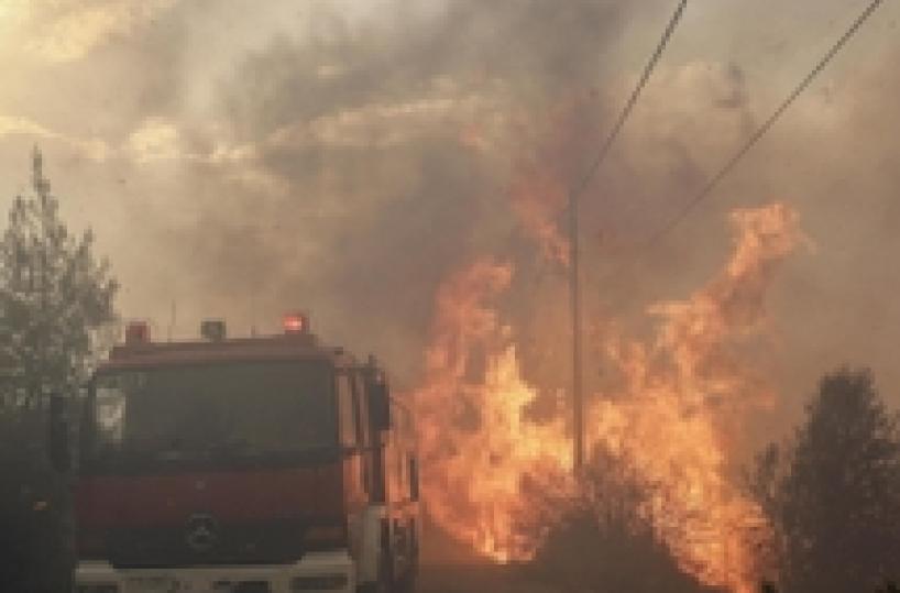 Incendi in Grecia, morte 60 persone: turisti in fugaTra loro anche D'Ambrosio, ex sindaco di Santeramo