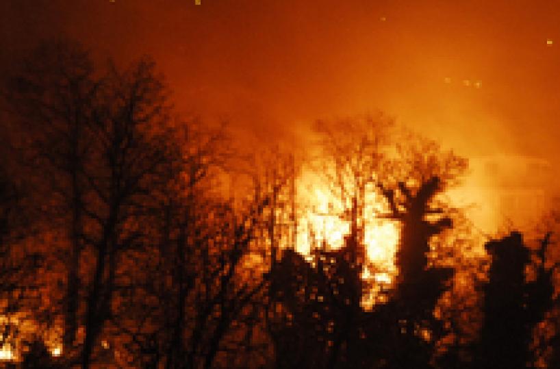Incendi, a fuoco tre boschiin campagne del Barese