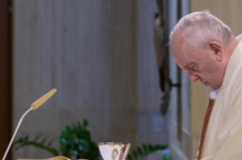 Pope appeals for migrant farm hands (5)