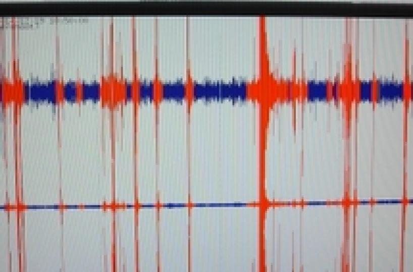 Scossa di magnitudo 3.0  in provincia di Potenza