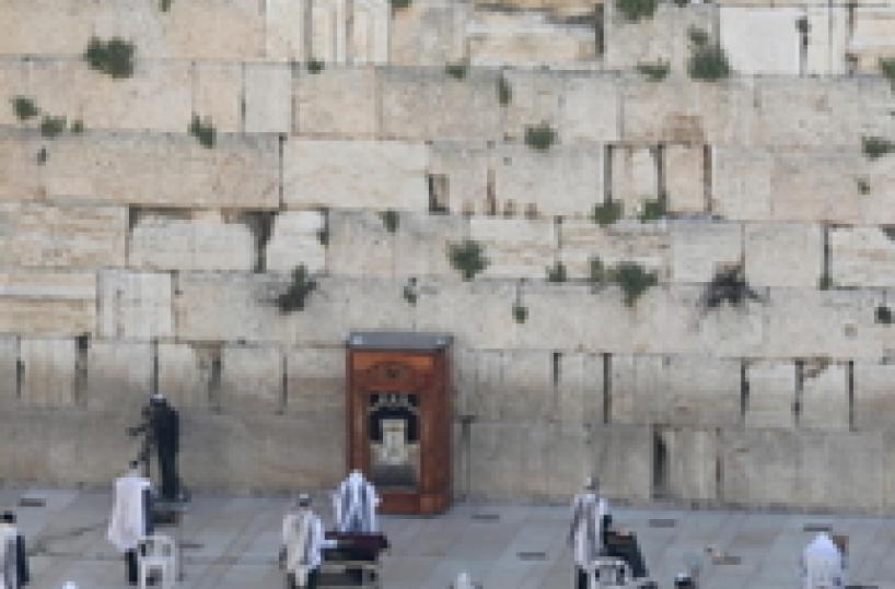 Coronavirus: in Israele 10.878 casi